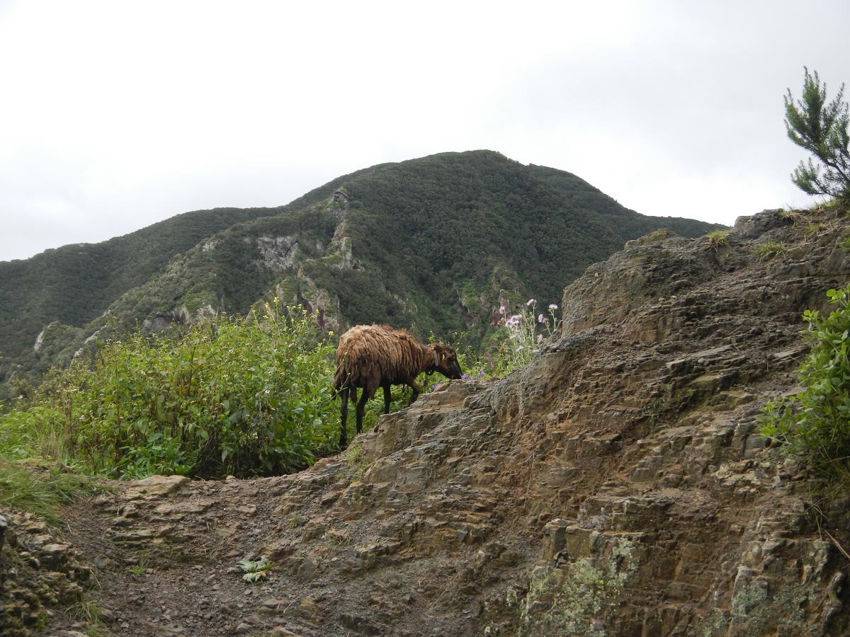 Albergue Montes De Anaga El Bailadero Luaran gambar